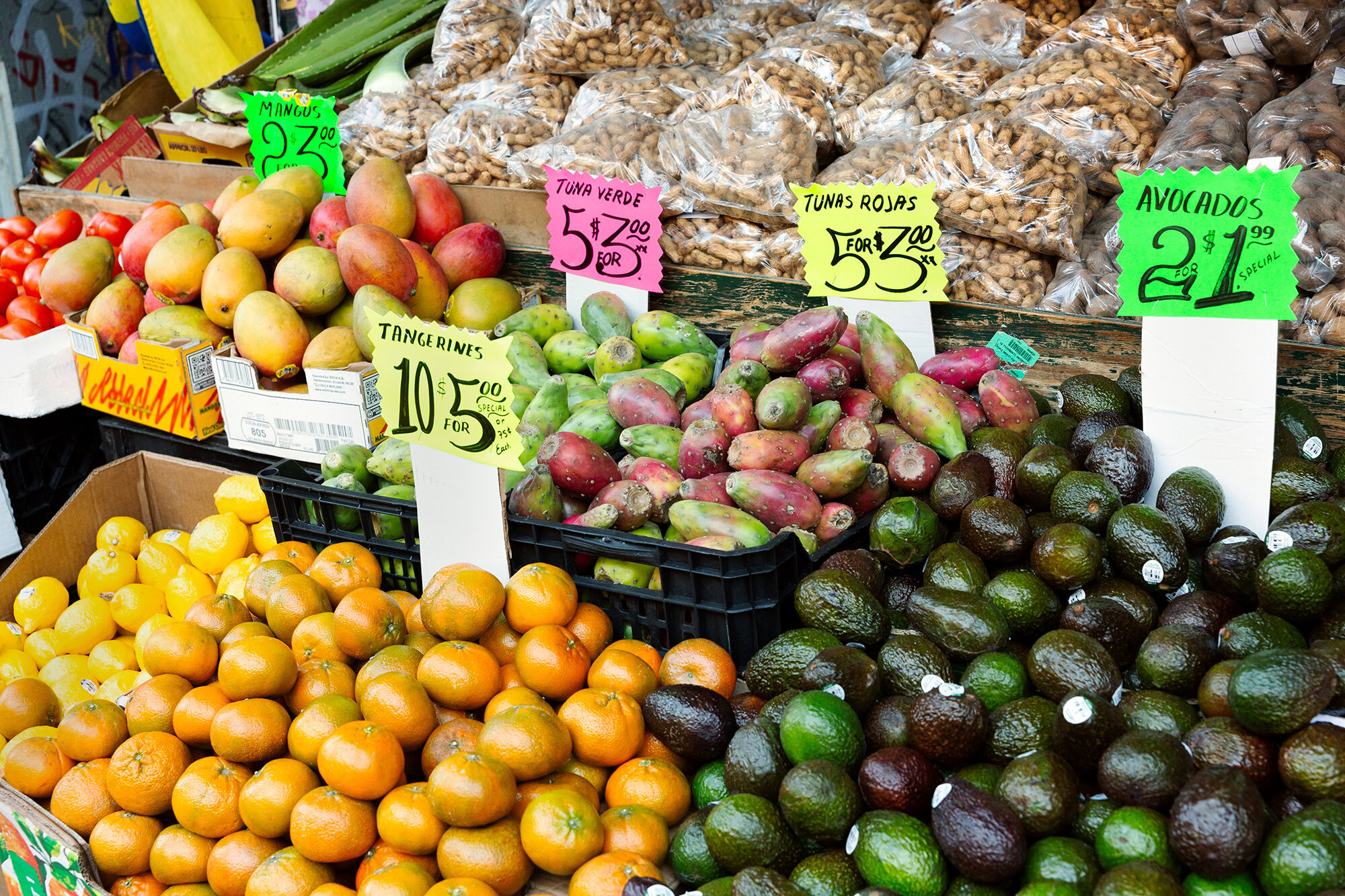 mph-240641-mateoarciniegashuertas-2411-exp-11-29