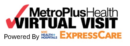 VirtualVisitLogo